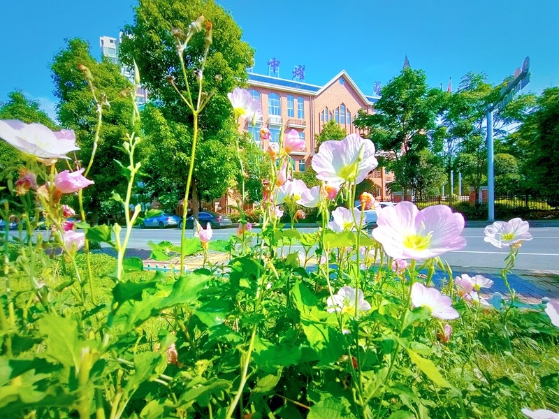微信图片_20231214093254_副本.jpg