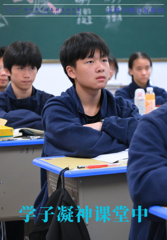 屏幕截图 2024-11-12 120746.png