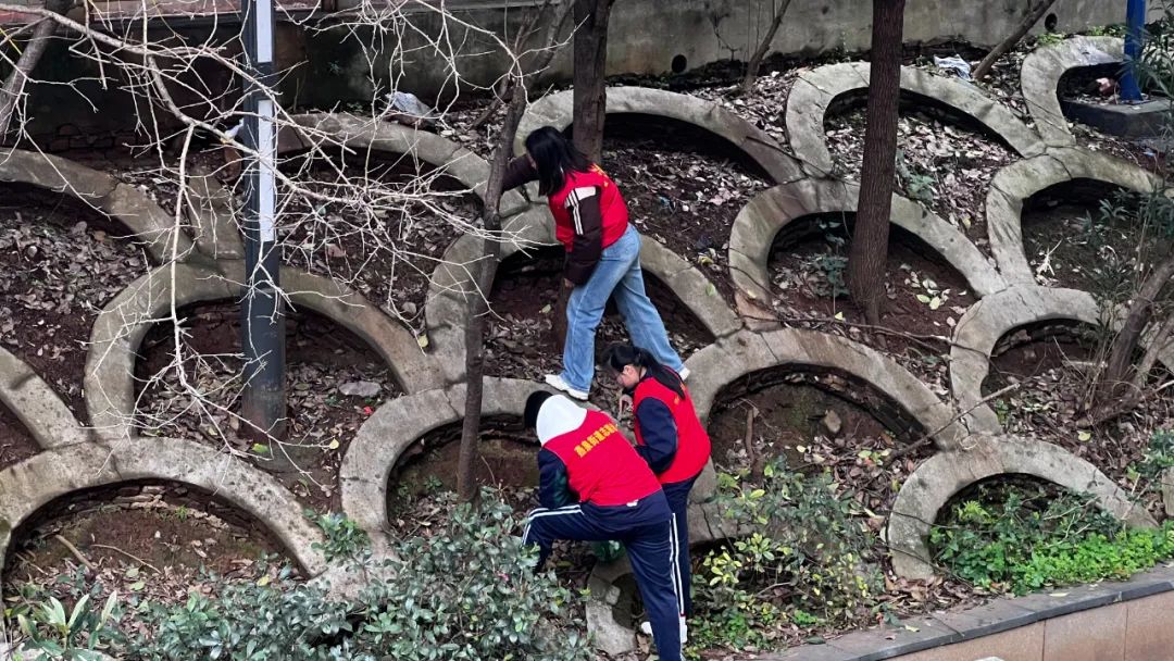 微信图片_20250311083638.jpg 微信图片_20250311083638.jpg